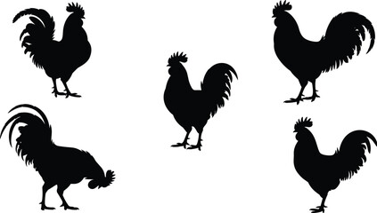 PrintRooster silhouette, black vector, poultry pose, farm animal, bird design, feather detail, rural theme, white background, graphic illustration