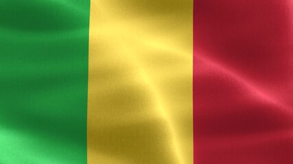 Mali flag - realistic waving fabric flag