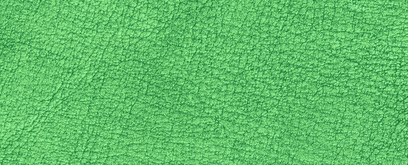green  leather texture