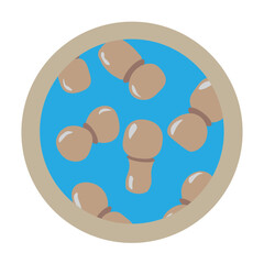 malassezia skin fungus