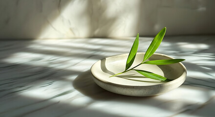 A small branch with green leaves resting on a white ceramic dish under sunlight on marble surface