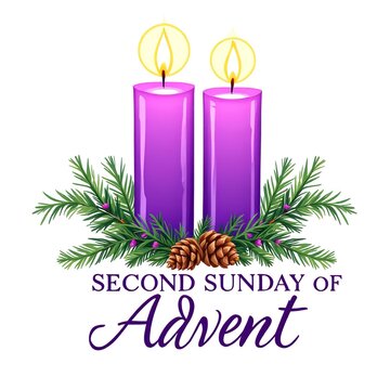 Illustration of two lit purple advent candles with pine branches and pinecones for the second sunday of advent isolated on white background