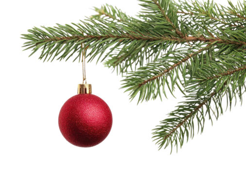 PNG Red ornament hanging pine branch.