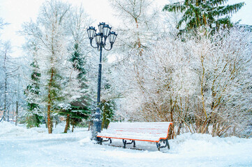 Snowy winter park landscape, wooden bench covered with snow and frosty winter trees around under falling snowflakes