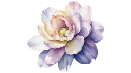 Watercolor Lotus Flower in Pastel Shades pastel colors isolated on a transparent background