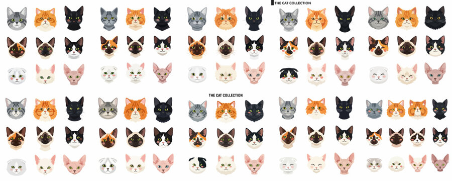 A huge vector collection of diverse domestic cat breeds and kitten faces, including tabby, calico, Sphynx, and Siamese, isolated on white background.