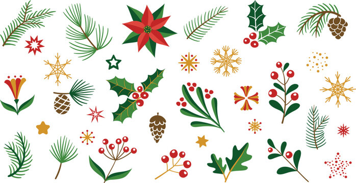Winter Foliage collection with Holly, Pinecones, Berries and other plants for Christmas