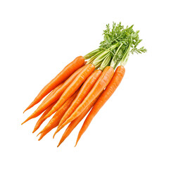 Fresh organic carrots with green tops