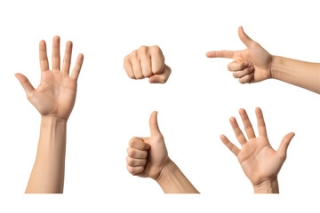 Transparent image of expressive hand gestures, including open palm, fist, and point