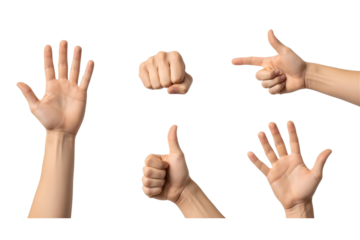 Transparent image of expressive hand gestures, including open palm, fist, and point