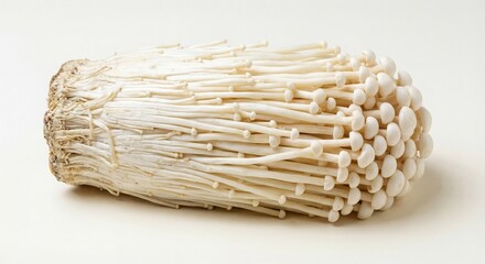 Raw Enoki Mushrooms Bundle with Soft Neutral Lighting