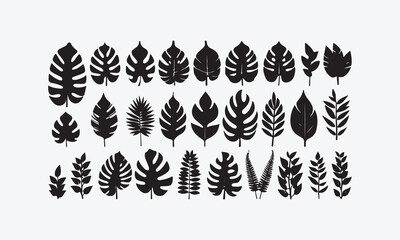 Obraz premium Vector set of wheat ears illustration with laurel and decorative elements