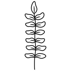 Elegant botanical stem line art with small leaves. Minimalist nature illustration for tattoo, logo design, coloring page, digital art and floral printable decor.