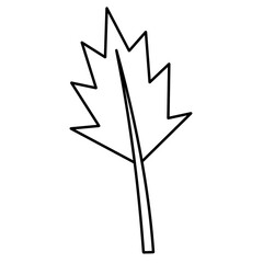 Maple leaf line art outline. Autumn botanical drawing for tattoo, sticker design, minimalist logo, coloring page, nature clipart and print.