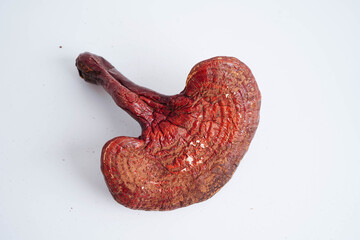 Lingzhi or Reishi mushroom with capsules, organic natural healthy food.