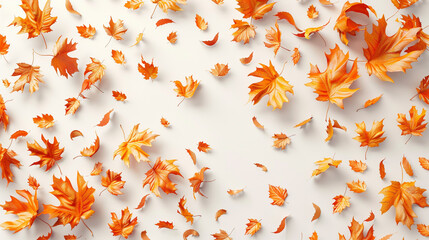 Autumn leaves scattered on white background creating a seasonal frame effect