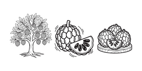 Line art illustration of a custard apple tree with fruits and slices.