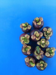 Ripe mangosteen fruit on a blue background