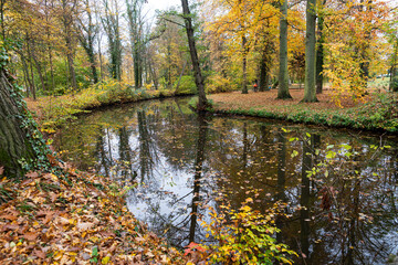 Spaziergang im herbstlich gef&auml;rbten Park