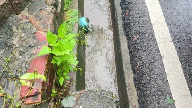 Roadside Drain With Running Rainwater and Wet Pavement, Community drainage ditch	
