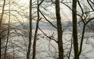 Bare winter trees framing a calm lake in soft morning light, creating a peaceful seasonal atmosphere with subtle reflections and muted natural tones