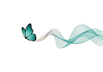 Turquoise butterfly with flowing wave pattern isolated on a transparent background