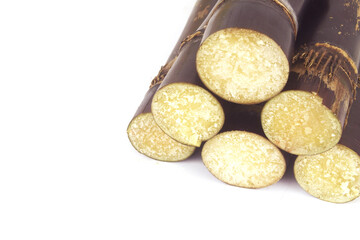 Sugar cane sticks isolated on white background.	