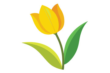 Simple yellow tulip with green leaves stands elegantly on a white backdrop