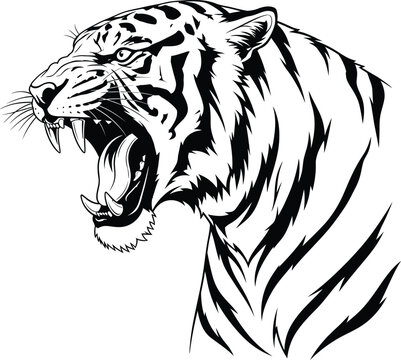 Tiger head roaring black and white illustration vector design art eps silhouette