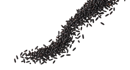 Falling unique black rice isolated on a transparent PNG background for healthy food design and cooking themes