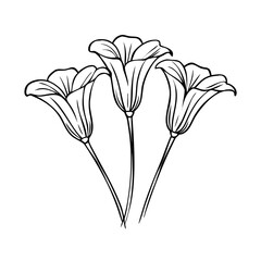 Beautiful single white lily flower illustration isolated on white background, perfect for a spring floral design