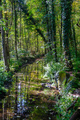 The Monza park at October