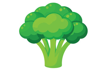 Vibrant green broccoli head with thick stems showcases fresh, healthy produce naturally