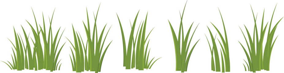 green grass isolated on white background