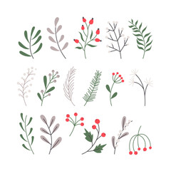 Vector set of winter plants