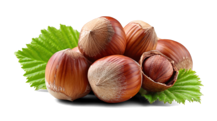 hazelnuts on a white background