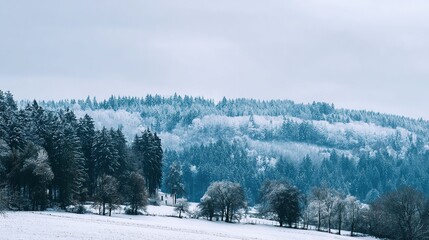 Winter landscape, with a background of soft white and light blue-toned forest. A tranquil, minimalist winter scene, capturing the serene beauty of the cold season and frost-covered wilderness.
