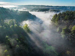 Misty forest in valley in autumn at sunrise.