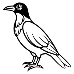 Obraz premium bird on a branch