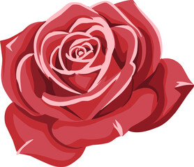 Red Rose Floral Illustration