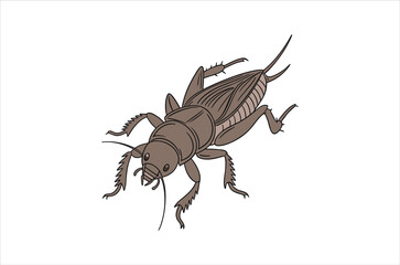 A detailed illustration of a brown cricket with long antennae and legs