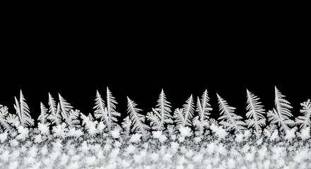 Delicate hoarfrost formations with intricate fern-like patterns creating a high-contrast white and black, stunning winter background texture.