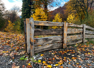 A rustic wooden fence stands amidst colorful autumn foliage. The ground is covered with fallen leaves in shades of yellow and orange.