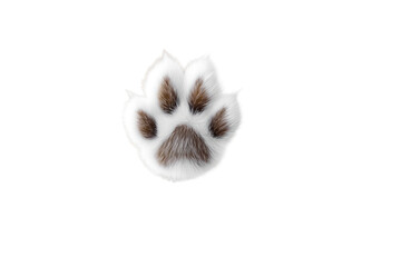 Paw Print: Close-up illustration of a single paw print, a symbol of animal companionship and domesticity.