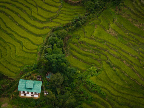 Aerial view of vibrant green rice terraces cascading down the slopes, nestled beside a building with a green roof, Thinyelgang, Bhutan.