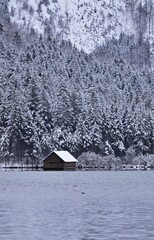 Bootshaus beim Almsee, Österreich, im Winter vertikal