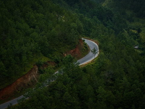 Aerial view of a winding road cuts a stark grey swathe through the dense, dark green forest, a ribbon of civilization in the wild, Sopsokha, Punakha, Bhutan.