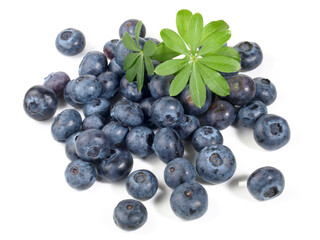 Blueberries with Woodruff on white Background
