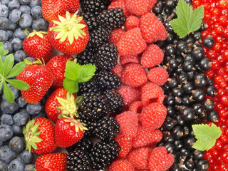 Mixed Berries Background