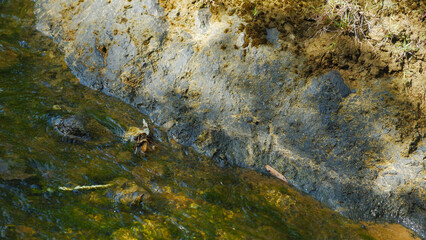 Calm River Water and Wet Dark Stones in Nature